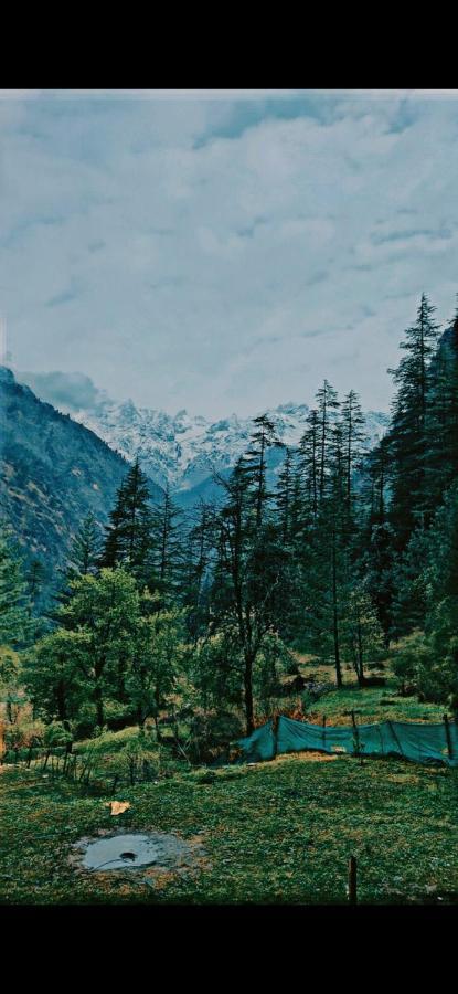 Shanti People Huts & Camp Kasol Exterior foto